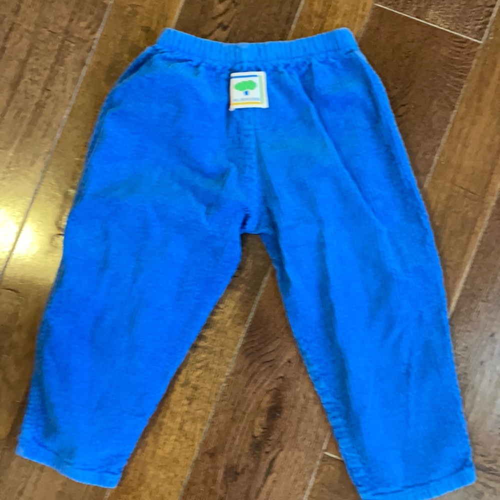 Mulberry Bush Blue Cotton Corduroy Bottoms 2T